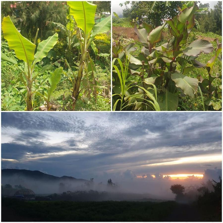 منزل الضيف لا بوسيشن  في Au Coeur Des Plantations المظهر الخارجي الصورة