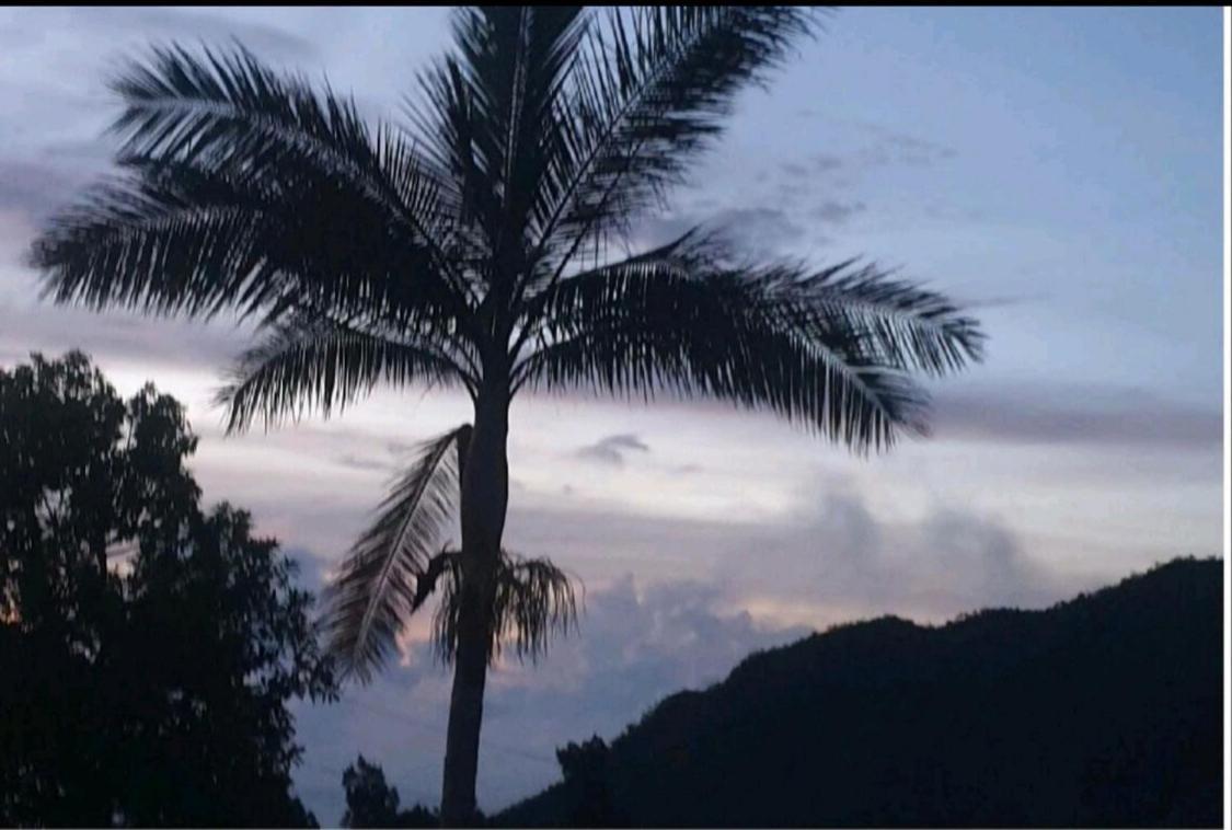 منزل الضيف لا بوسيشن  في Au Coeur Des Plantations المظهر الخارجي الصورة