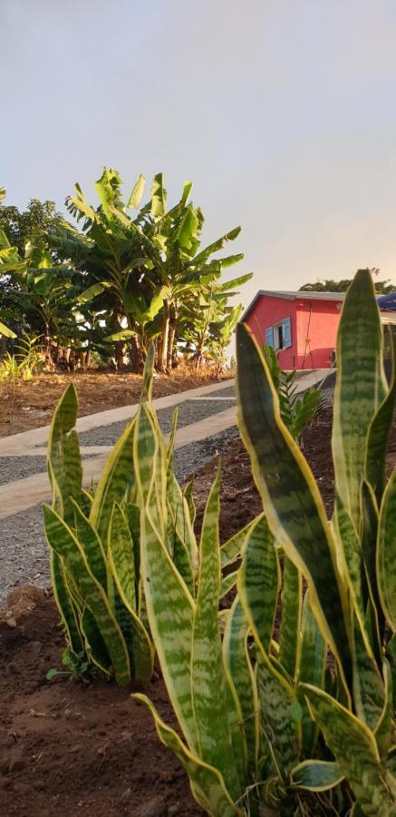 منزل الضيف لا بوسيشن  في Au Coeur Des Plantations المظهر الخارجي الصورة