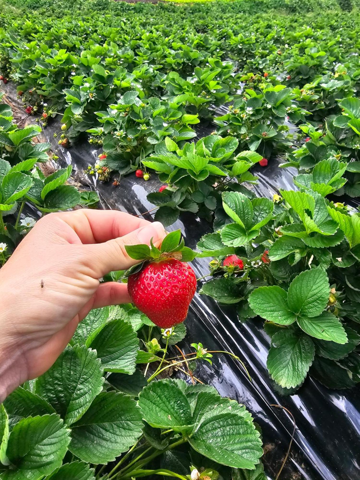 منزل الضيف لا بوسيشن  في Au Coeur Des Plantations المظهر الخارجي الصورة